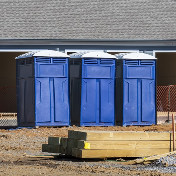 are there different sizes of portable toilets available for rent in Racine Minnesota